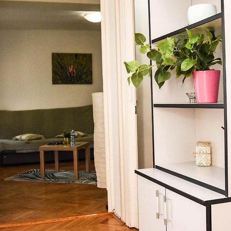 Apartment Kiwi Nowy Sad Zewnętrze zdjęcie