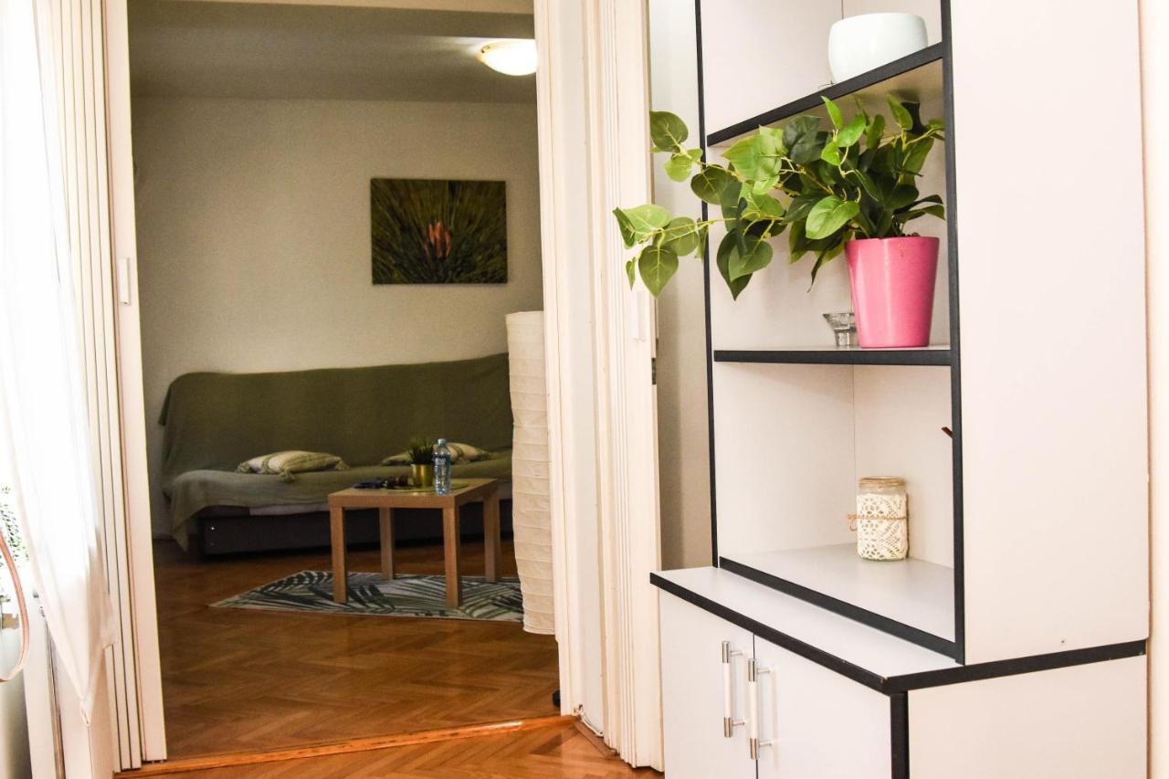 Apartment Kiwi Nowy Sad Zewnętrze zdjęcie
